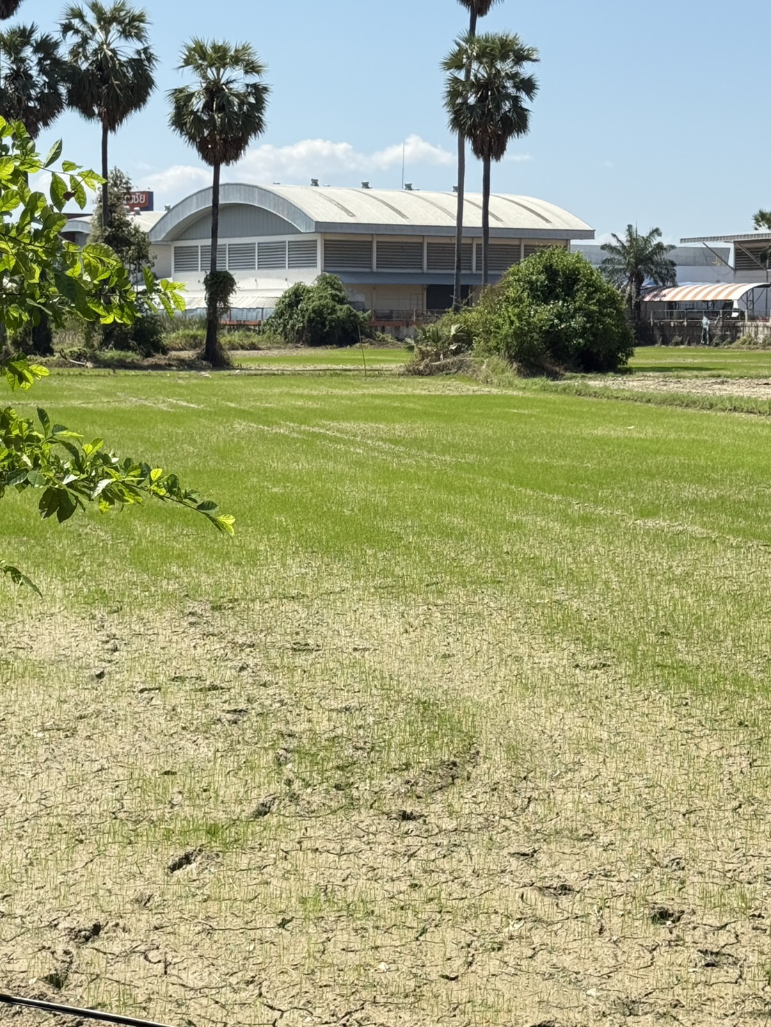 ขายที่ดินเปล่า ทำเลดี ใกล้ถนนเพชรเกษม – บ้านลาด เพชรบุรี