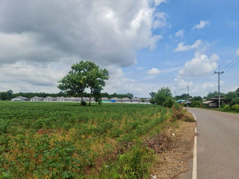 ขายที่ดินเปล่า ทำเลดี #ราคาดีทำเลดี ติดต่อผึ้งรติ 0619419639 