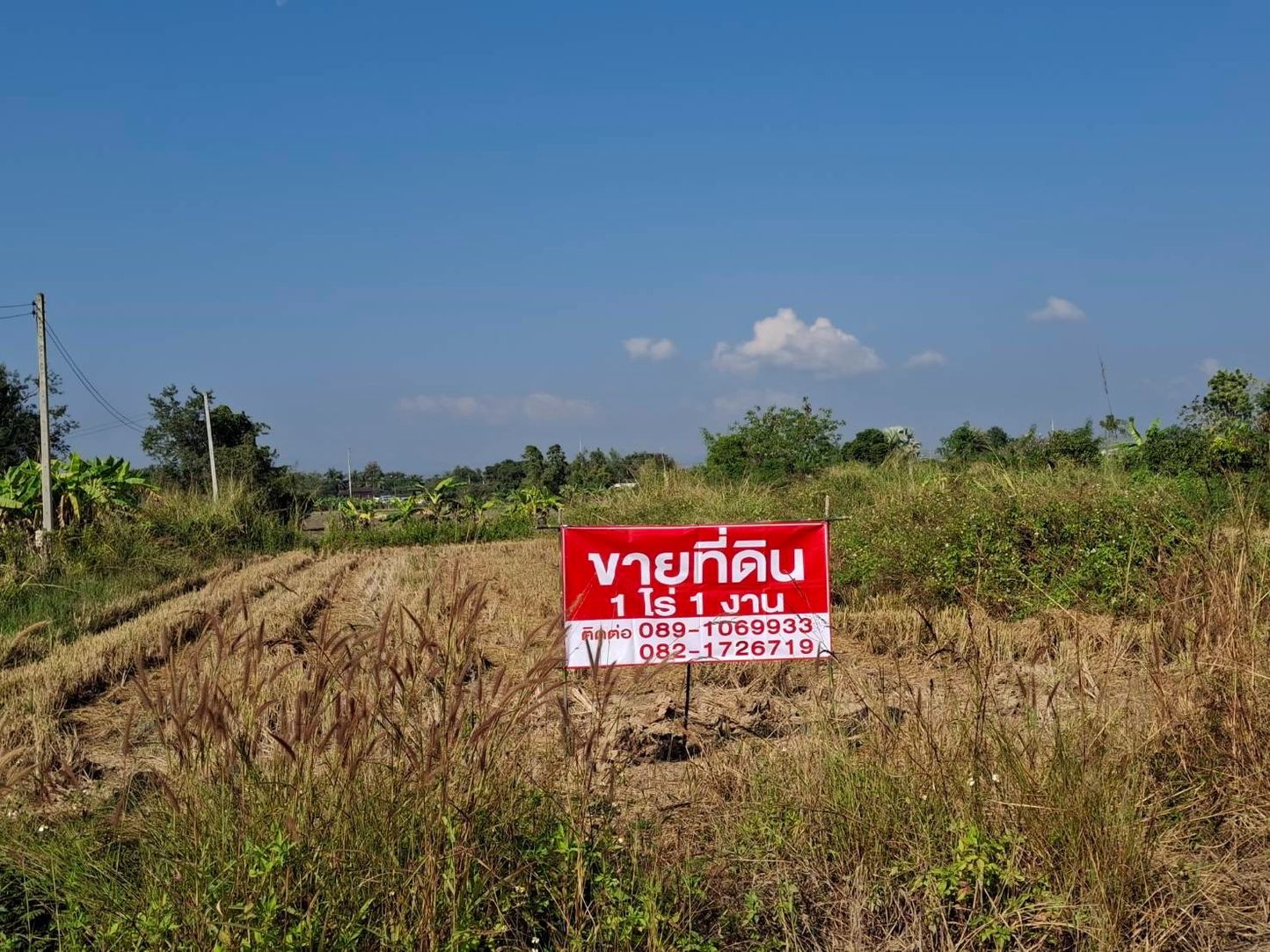 ขายที่ดินเปล่า อยู่ในโครงการจัดสรรพรพรหมพาราไดซ์(เดิม) อ.หางดง จ.เชียงใหม่ 