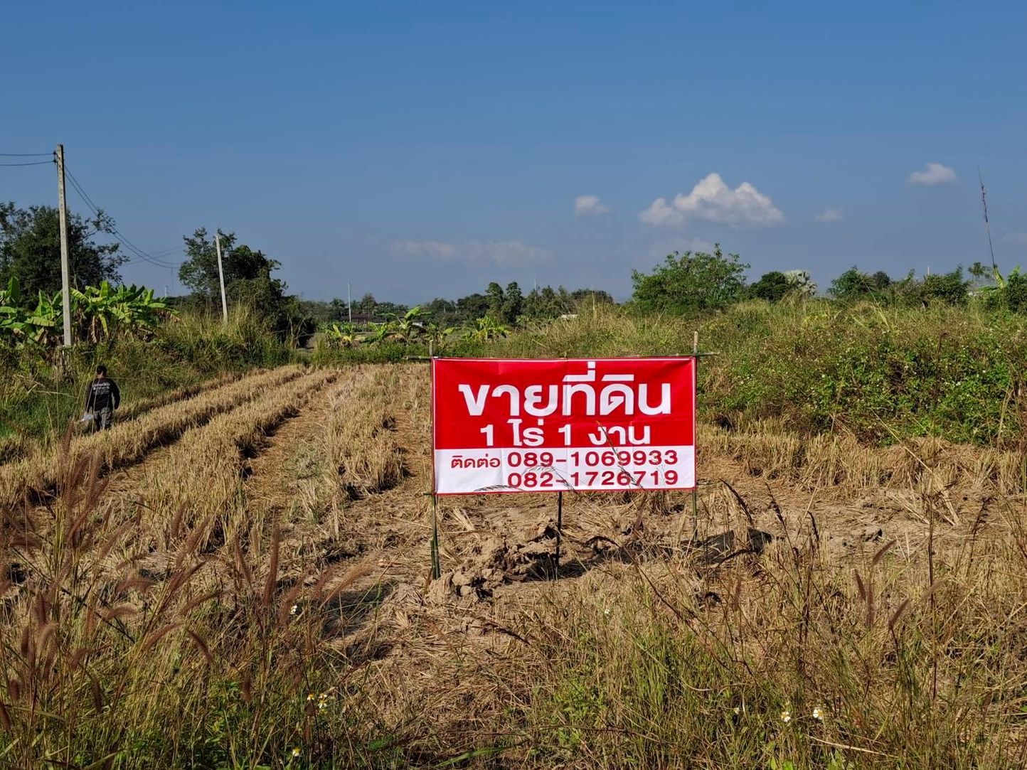 ขายที่ดินเปล่า อยู่ในโครงการจัดสรรพรพรหมพาราไดซ์(เดิม) อ.หางดง จ.เชียงใหม่ 