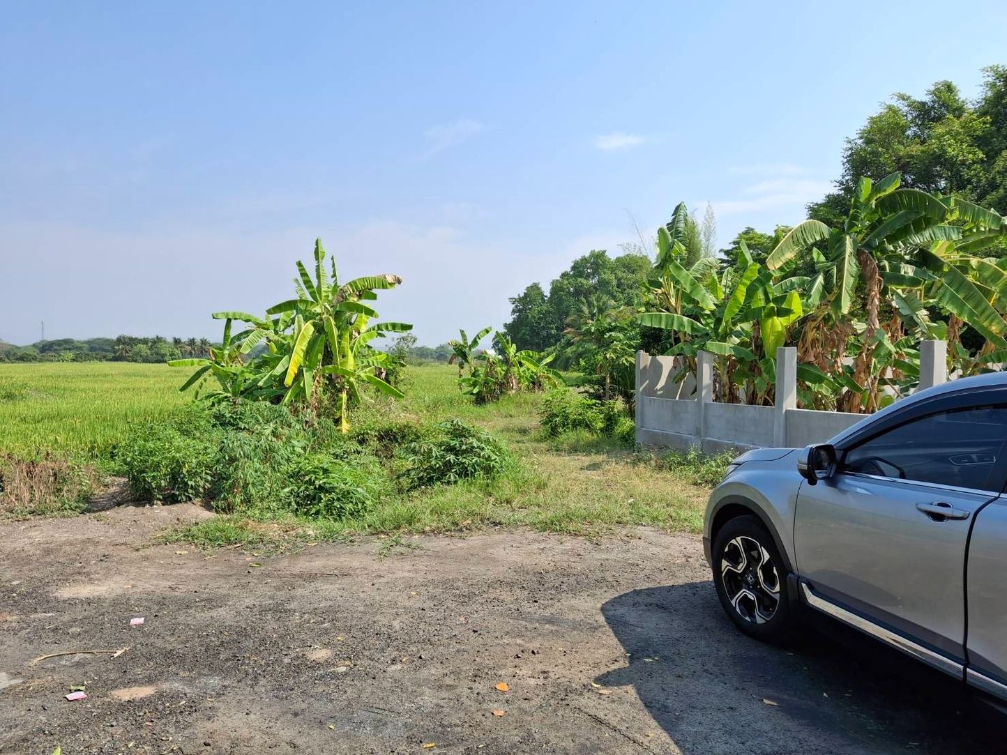 ขายที่นา ทำเลดี อ.หางดง จ.เชียงใหม่