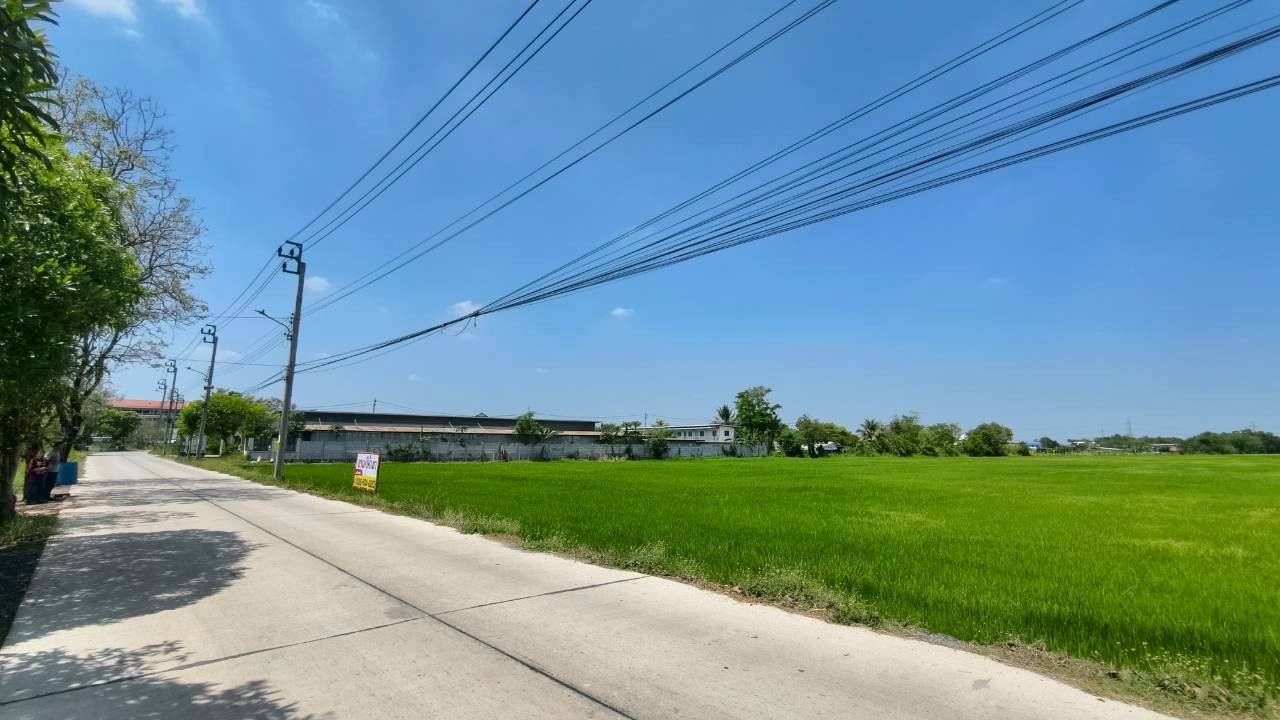 ขายที่ดินเปล่า ทำเลดี หนองจอก ซอยเชื่อมสัมพันธ์22 