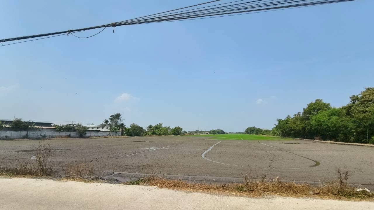 ขายที่ดินเปล่า ทำเลดี หนองจอก ซอยเชื่อมสัมพันธ์22 