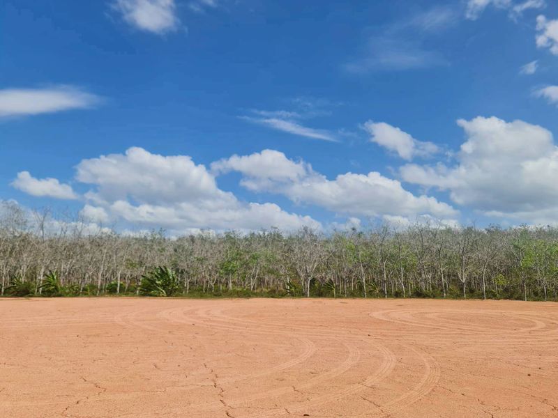 ขายที่ดินเปล่า ทำเลดี ใกล้หาดไม้ขาว จังหวัดภูเก็ต ราคาดีทำเลดีมาก ติดต่อผึ้งรติ 0619419639 