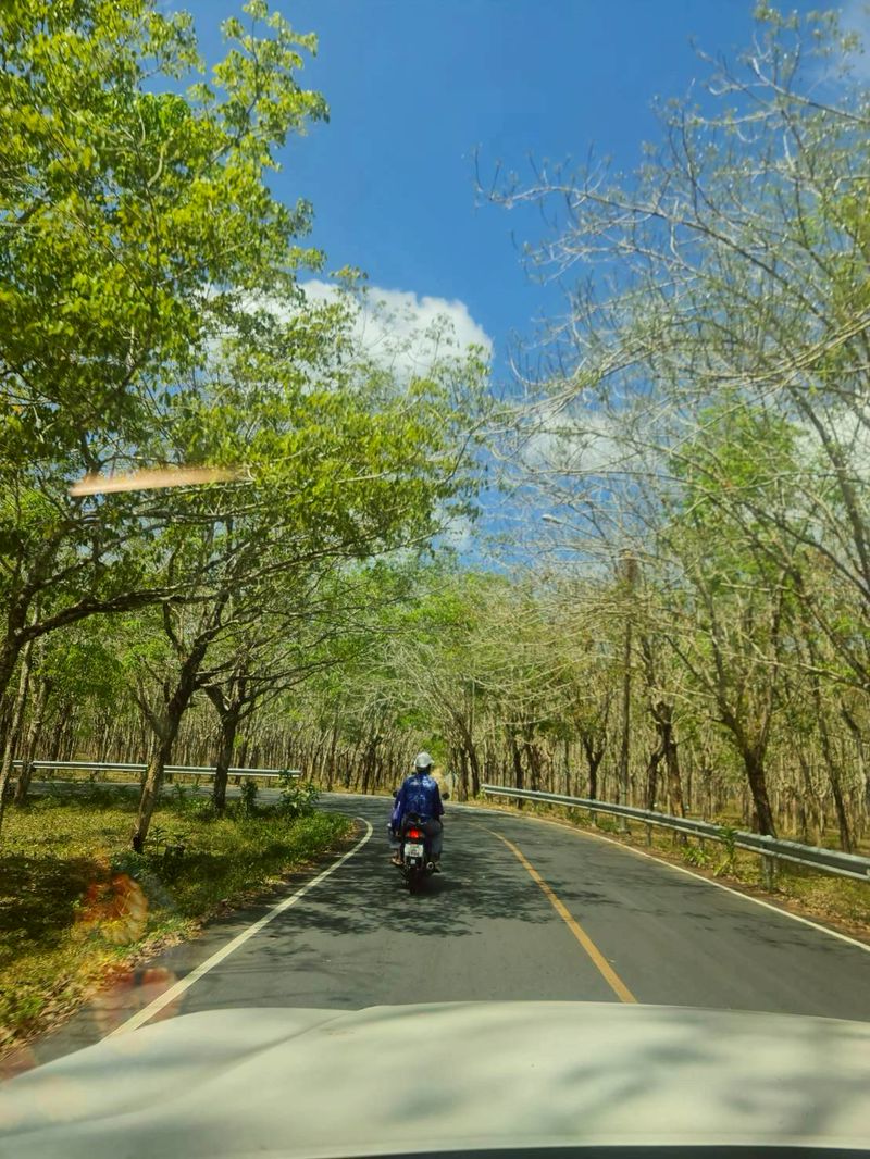 ขายที่ดินเปล่า ทำเลดี ใกล้หาดไม้ขาว จังหวัดภูเก็ต ราคาดีทำเลดีมาก ติดต่อผึ้งรติ 0619419639 