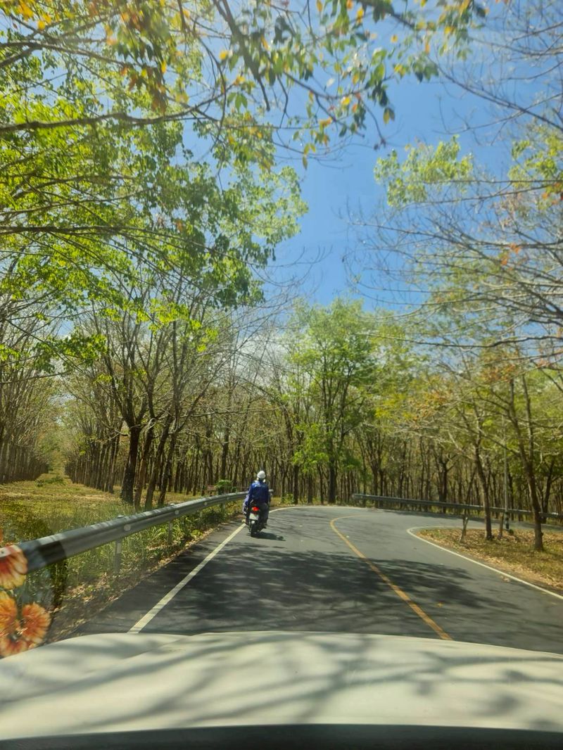 ขายที่ดินเปล่า ทำเลดี ใกล้หาดไม้ขาว จังหวัดภูเก็ต ราคาดีทำเลดีมาก ติดต่อผึ้งรติ 0619419639 