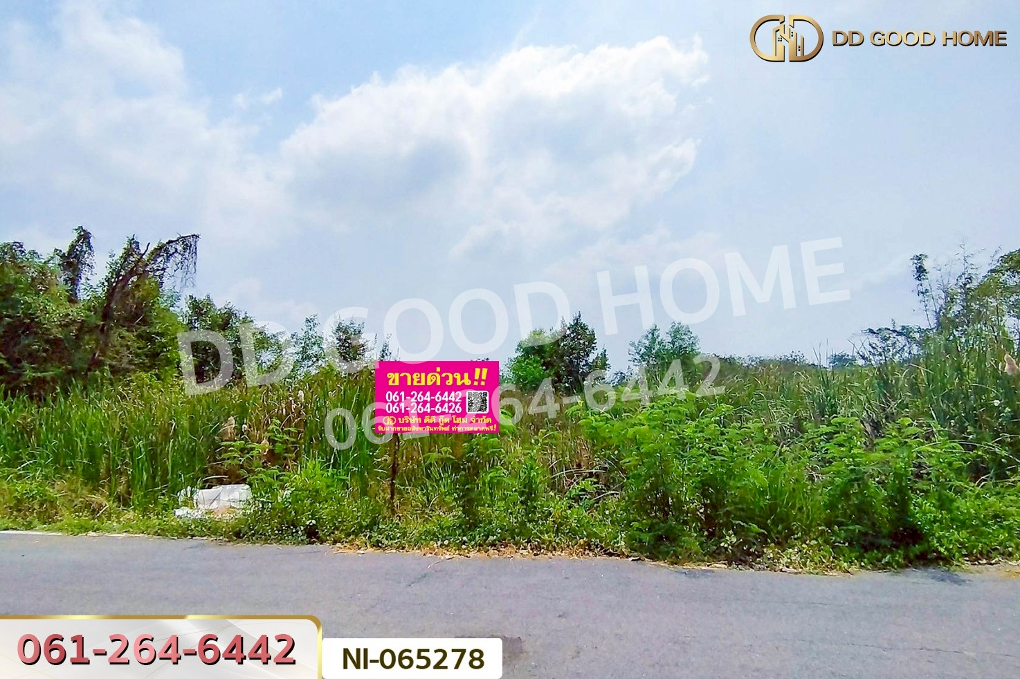 NI-065278 ที่ดินคลองหก 200 ตร.ว. ปทุมธานี ใกล้มหาวิทยาลัยเทคโนโลยีราชมงคลธัญบุรี