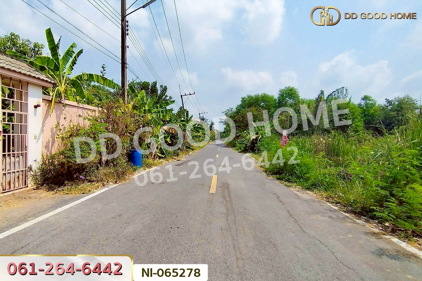 NI-065278 ที่ดินคลองหก 200 ตร.ว. ปทุมธานี ใกล้มหาวิทยาลัยเทคโนโลยีราชมงคลธัญบุรี