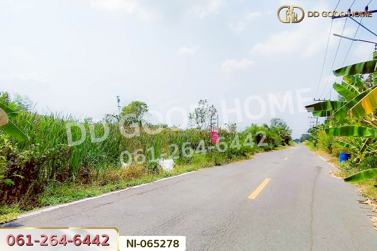 NI-065278 ที่ดินคลองหก 200 ตร.ว. ปทุมธานี ใกล้มหาวิทยาลัยเทคโนโลยีราชมงคลธัญบุรี
