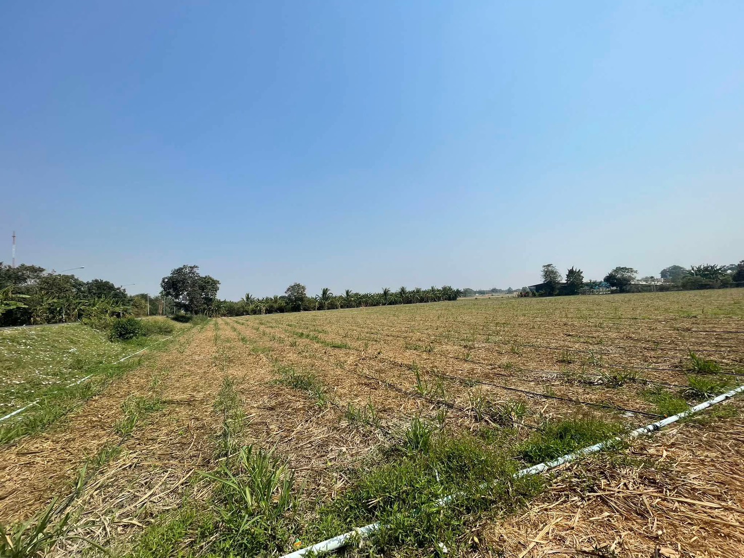 ขายที่ดินอู่ทอง สุพรรณบุรี 20 ไร่ 16.40 ลบ.