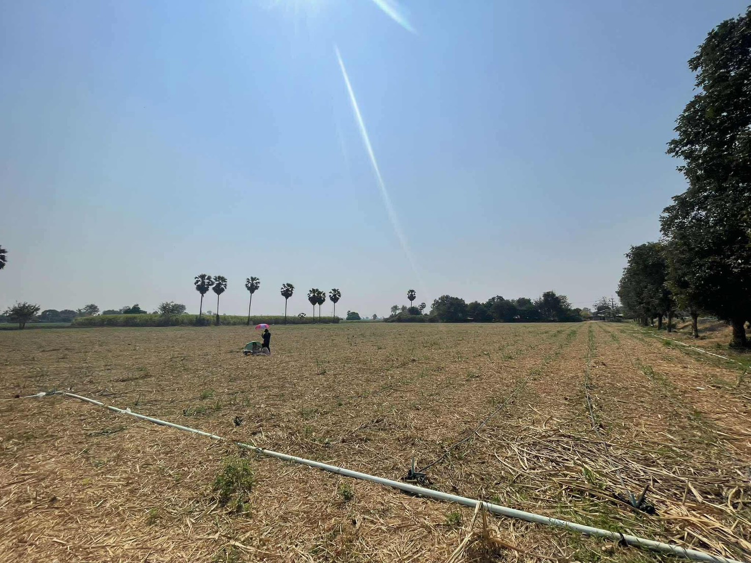 ขายที่ดินอู่ทอง สุพรรณบุรี 20 ไร่ 16.40 ลบ.