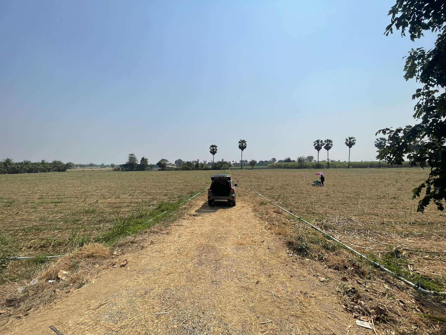 ขายที่ดินอู่ทอง สุพรรณบุรี 20 ไร่ 16.40 ลบ.