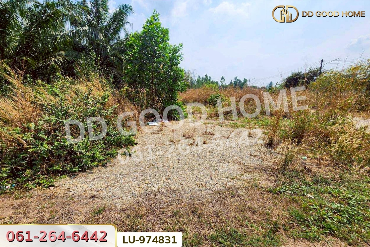 LU-974831 ที่ดินบ้านโค้งประดู่เทศบาล 5 เกาะจันทร์ 80 ตร.ว. ชลบุรี ใกล้ที่ว่าการอำเภอเกาะจันทร์