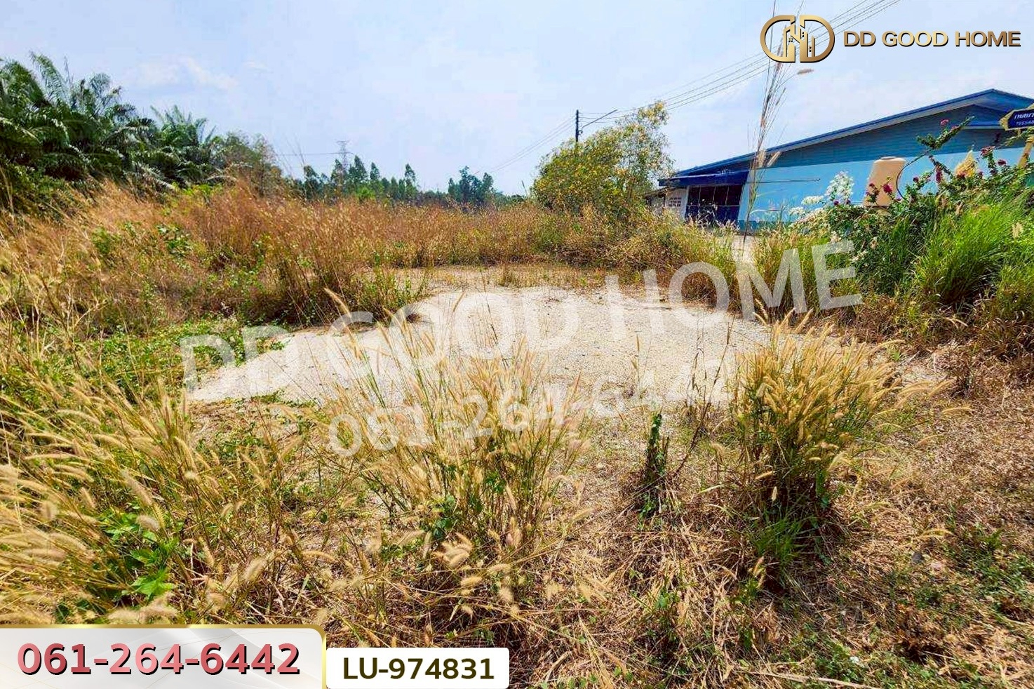 LU-974831 ที่ดินบ้านโค้งประดู่เทศบาล 5 เกาะจันทร์ 80 ตร.ว. ชลบุรี ใกล้ที่ว่าการอำเภอเกาะจันทร์