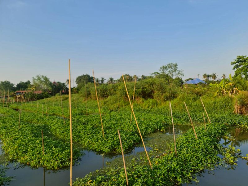ขายที่ดินเปล่า ตืดแม่น้ำท่าจีน ตรงสุดหมู่บ้านกฤษดานคร 27 มารีน่า หอมเกร็ด สามพราน นครปฐม ราคาดีทำเลดีมาก ติดต่อผึ้งรติ 0619419639