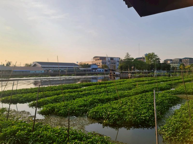 ขายที่ดินเปล่า ตืดแม่น้ำท่าจีน ตรงสุดหมู่บ้านกฤษดานคร 27 มารีน่า หอมเกร็ด สามพราน นครปฐม ราคาดีทำเลดีมาก ติดต่อผึ้งรติ 0619419639