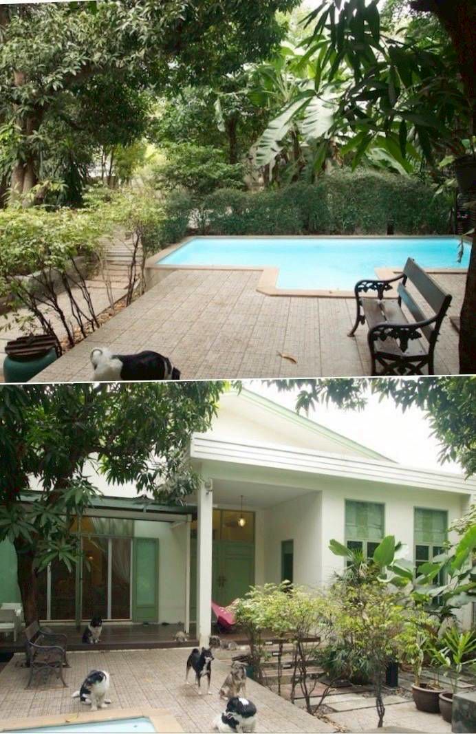 ขายบ้านเดี่ยวชั้นเดียว ใจกลางเมือง ติดถนนพระราม6 ประดิพัทธ์ซอย 5 มีสระว่ายน้ำบ้าน ราคาดีทำเลดี ติดต่อผึ้งรติ0619419639 