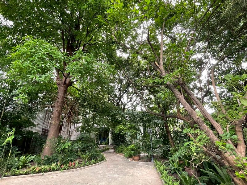 ขายบ้านเดี่ยวชั้นเดียว ใจกลางเมือง ติดถนนพระราม6 ประดิพัทธ์ซอย 5 มีสระว่ายน้ำบ้าน ราคาดีทำเลดี ติดต่อผึ้งรติ0619419639 