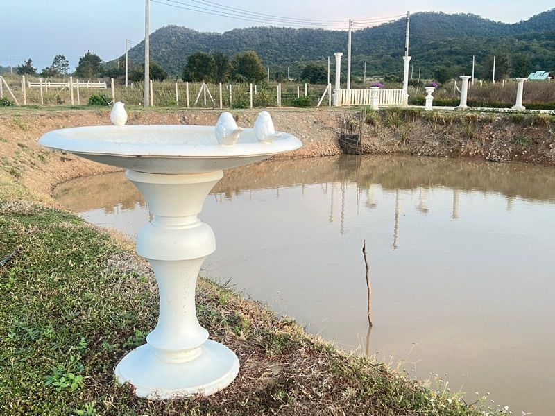 ขายที่ดินพร้อมสิ่งปลูกสร้าง ทำเลดี วิวภูเขา แก่งกระจาน จังหวัดเพชรบุรี