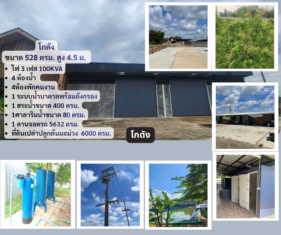 ขายที่ดินพร้อมสิ่งปลูกสร้าง ทำเลดี อำเภอป่าขาง จังหวัดลำพูน