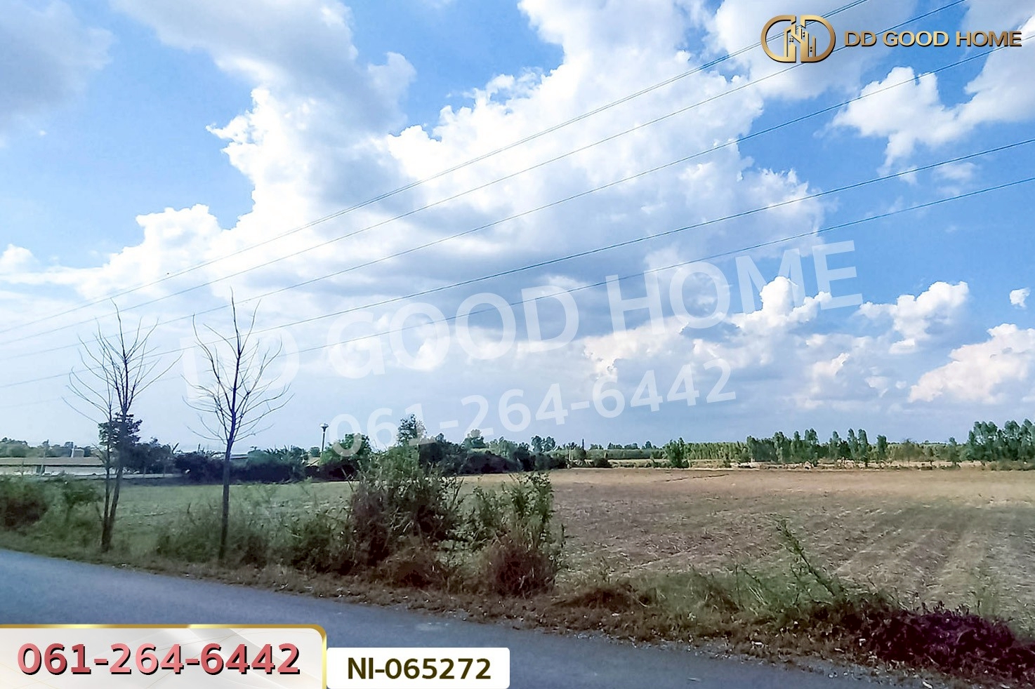 NI-065272 ที่ดินเขาหินซ้อน 25 ไร่ 53 ตร.ว. พนมสารคาม ฉะเชิงเทรา ใกล้วัดบุญญารามปู่เจ้าเขาเขียว