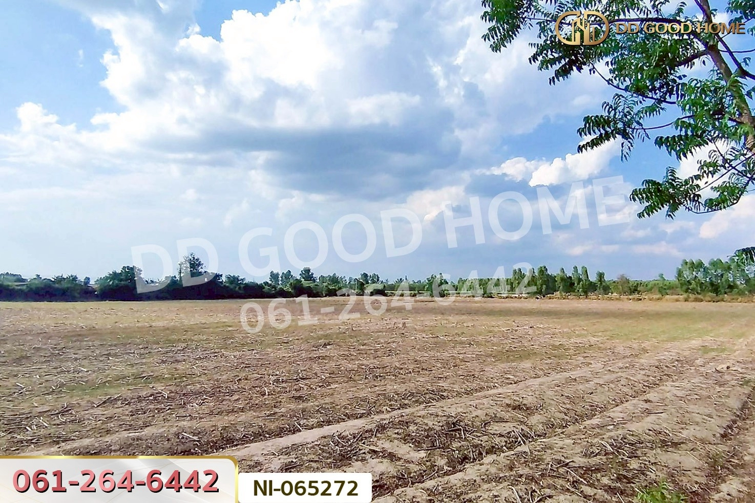 NI-065272 ที่ดินเขาหินซ้อน 25 ไร่ 53 ตร.ว. พนมสารคาม ฉะเชิงเทรา ใกล้วัดบุญญารามปู่เจ้าเขาเขียว