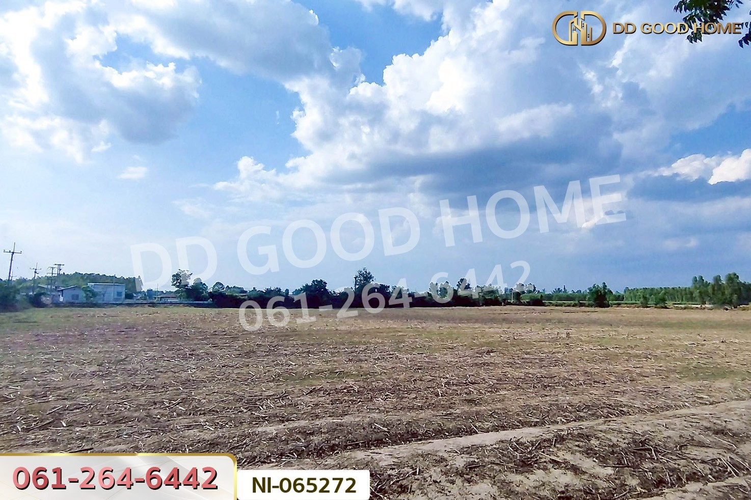 NI-065272 ที่ดินเขาหินซ้อน 25 ไร่ 53 ตร.ว. พนมสารคาม ฉะเชิงเทรา ใกล้วัดบุญญารามปู่เจ้าเขาเขียว