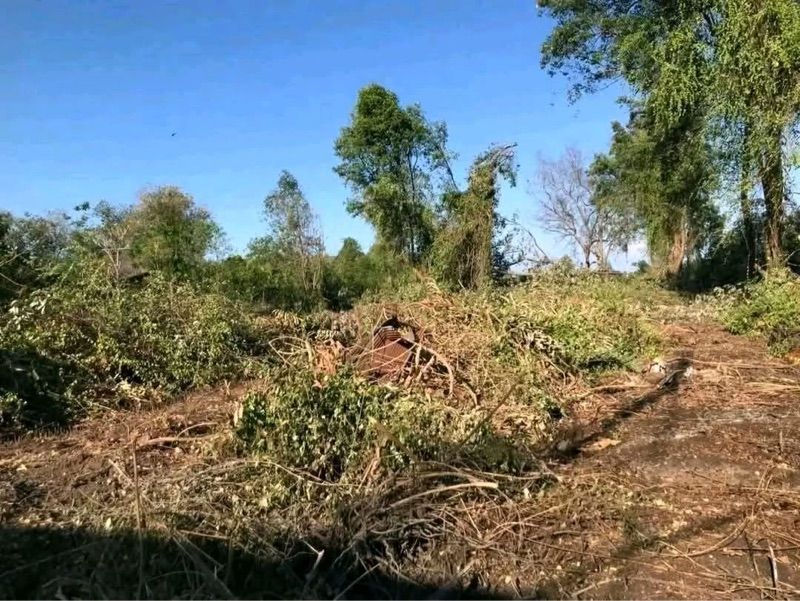 ขายที่ดินแปลงสวย 6 ไร่กว่า ติดถนน-ติดคลอง ทำเลทอง อัมพวา