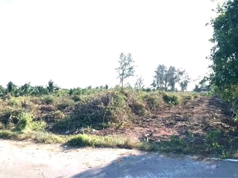 ขายที่ดินแปลงสวย 6 ไร่กว่า ติดถนน-ติดคลอง ทำเลทอง อัมพวา