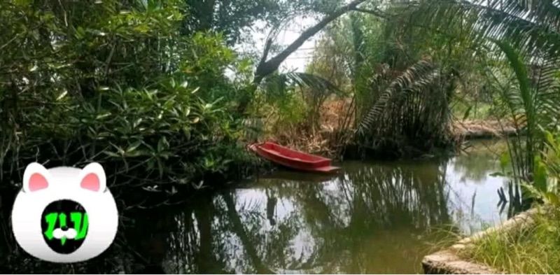 ขายที่ดินแปลงสวย 6 ไร่กว่า ติดถนน-ติดคลอง ทำเลทอง อัมพวา