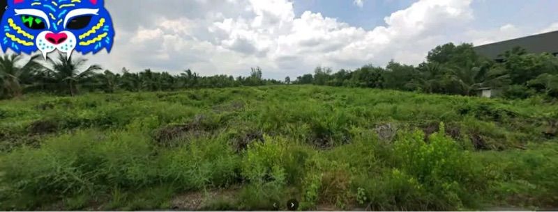 ขายที่ดินแปลงสวย 6 ไร่กว่า ติดถนน-ติดคลอง ทำเลทอง อัมพวา