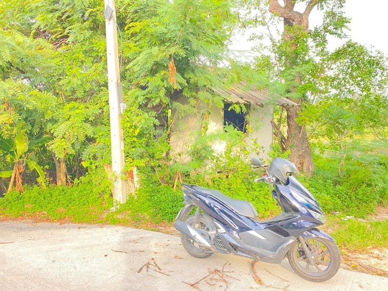 ขายด่วนที่ดินเปล่า แปลงใหญ่ ทำเลดี ลิปาน้อย สุราษฎร์ธานี 