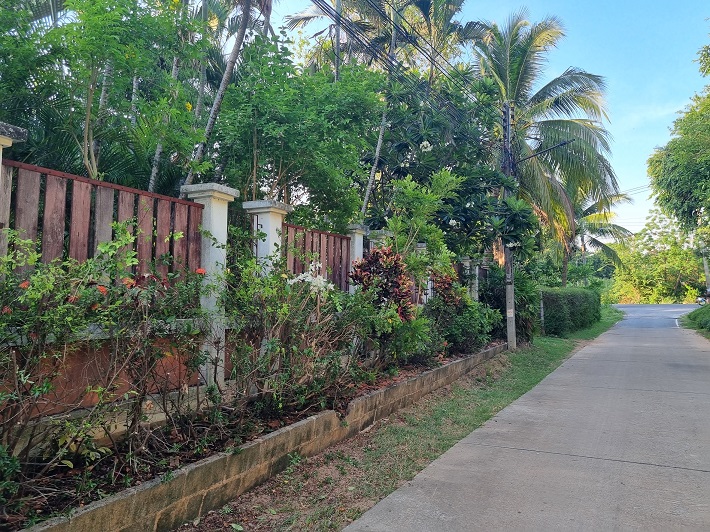 ขายบ้าน2ชั้น ตะพานหิน พิจิตร 3นอน2น้ำ ฮวงจุ้ยดี ไม่ท่วม ร่มรื่น (มีที่ดินแยกขาย)