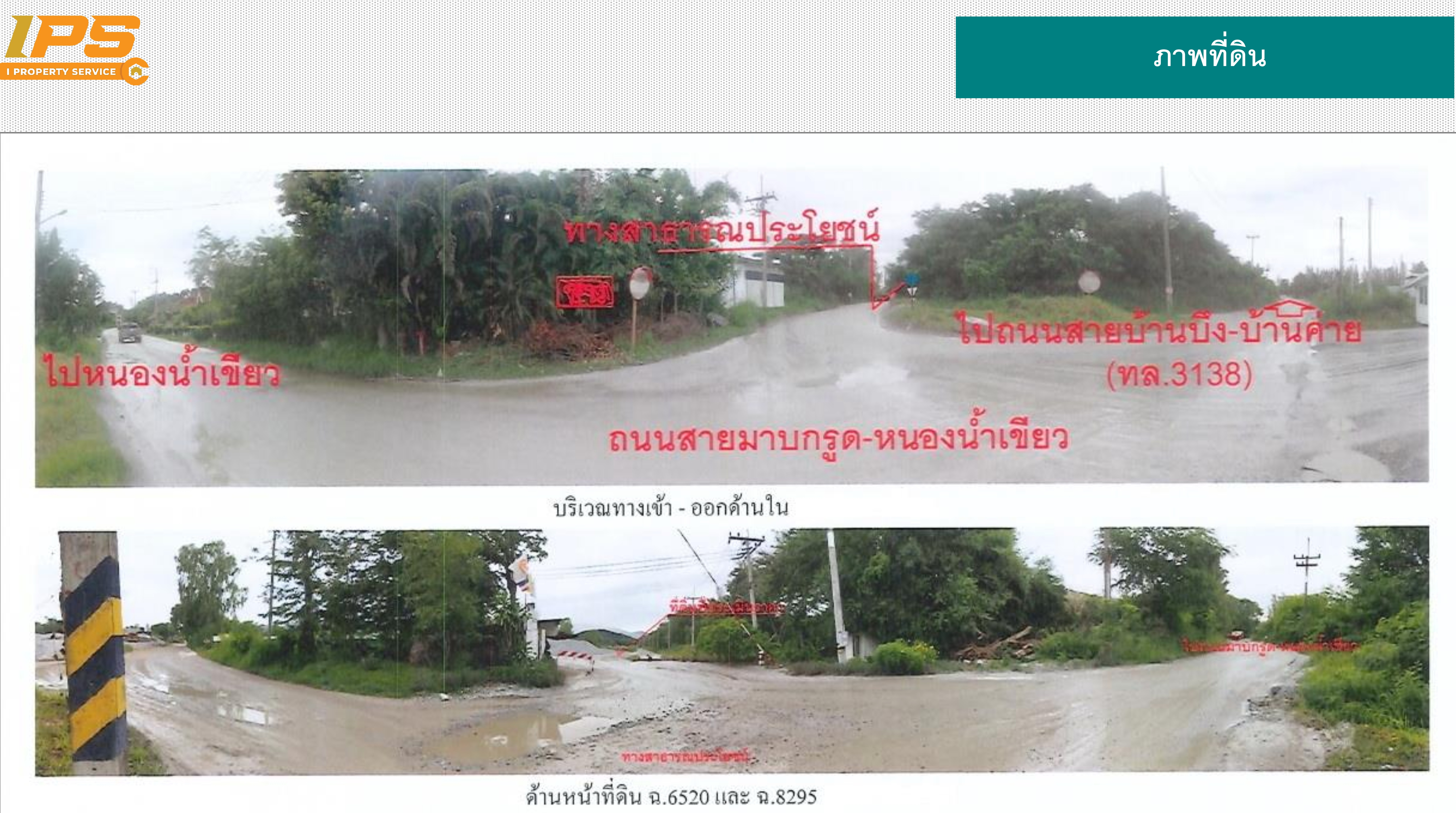 ขายที่ดินเปล่า หนองน้ำเขียว อ.บ้านบึง จ.ชลบุรี 