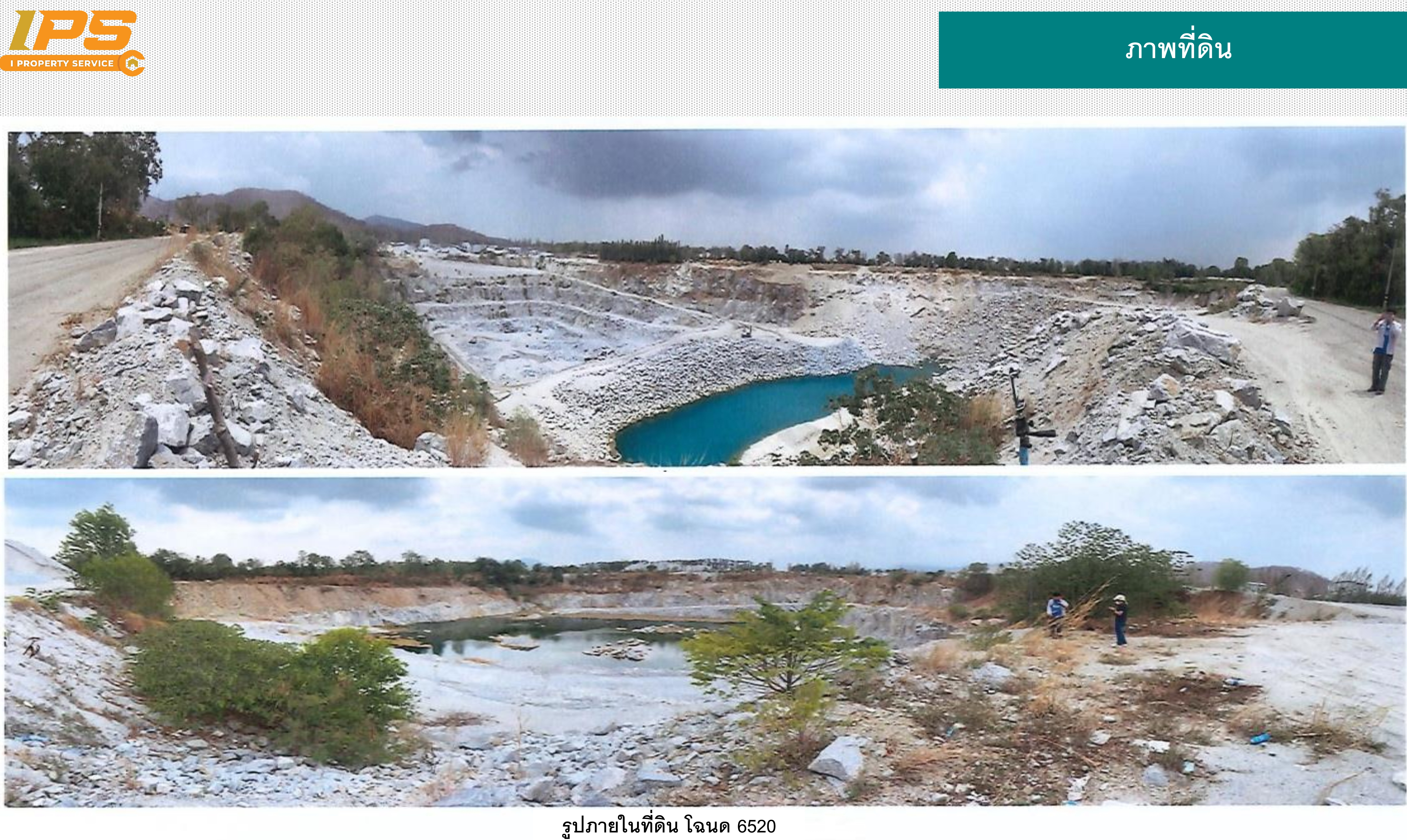 ขายที่ดินเปล่า หนองน้ำเขียว อ.บ้านบึง จ.ชลบุรี 