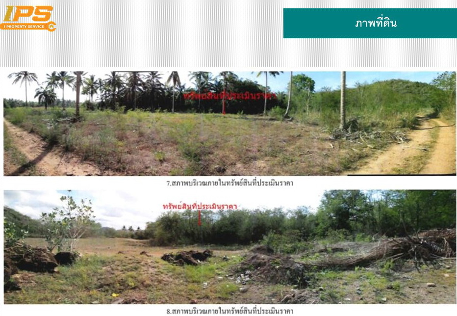 ขายที่ดินเปล่า 50-0-80 ไร่  ทำเลดี อ.บางสะพาน จ.ประจวบคีรีขันธ์