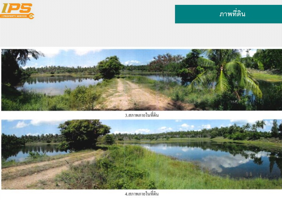 ขายที่ดินเปล่า ถ.สายบ้านกลางนา-บ้านยายพลอย (ปช.4045) อ.บางสะพาน จ.ประจวบฯ