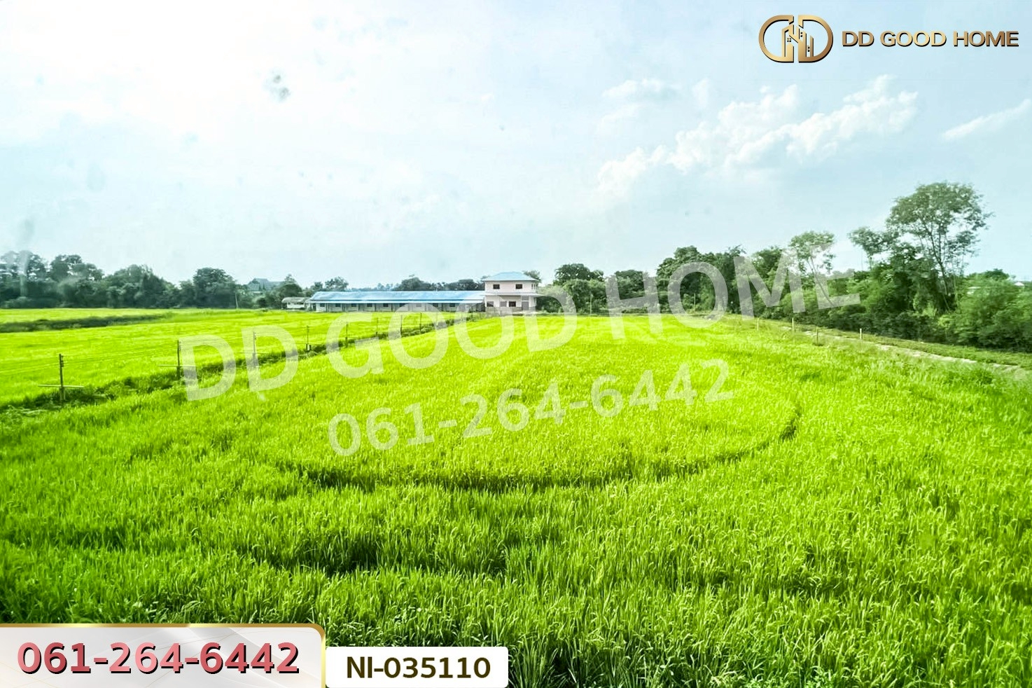 ที่ดินบางน้ำเปรี้ยว 10 ไร่ ฉะเชิงเทรา ใกล้โรงเรียนสิทธิสุนทรอุทิศ (เช่า) NI-035110