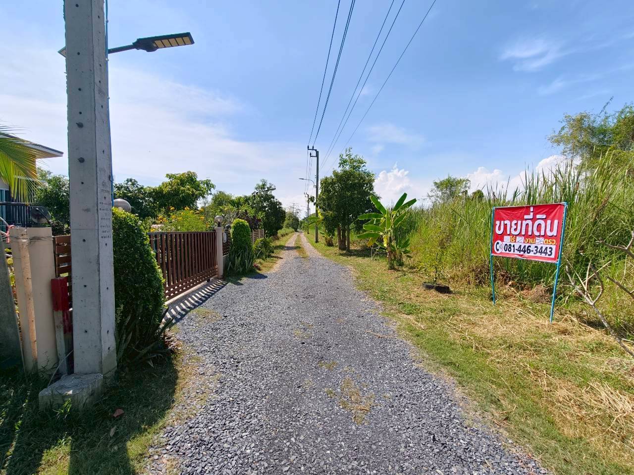 ขายที่ดินเเปลงสวย ลำลูกกาคลอง 12 ทำเลดี ใกล้ถนนหลัก พร้อมปลูกสร้าง