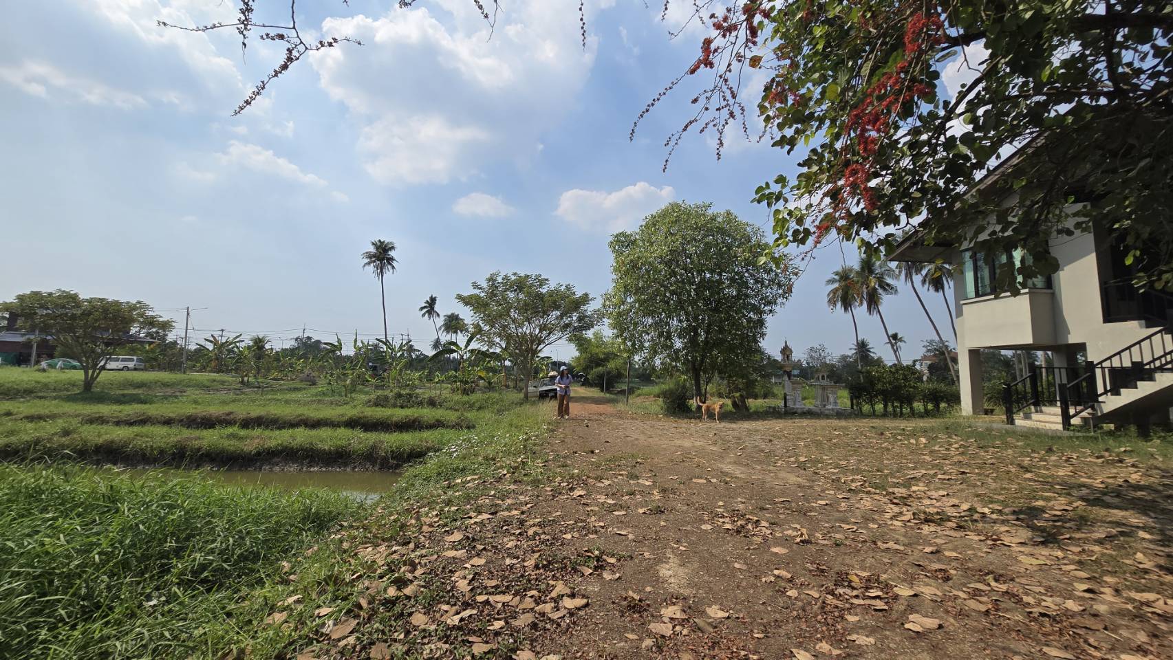 ขายที่ดินพร้อมสิ่งปลูกสร้าง ทำเลทอง ใกล้ถนนพุทธมณฑลสาย 7 และถนนบรมราชชนนี อำเภอสามพราน จังหวัดนครปฐม