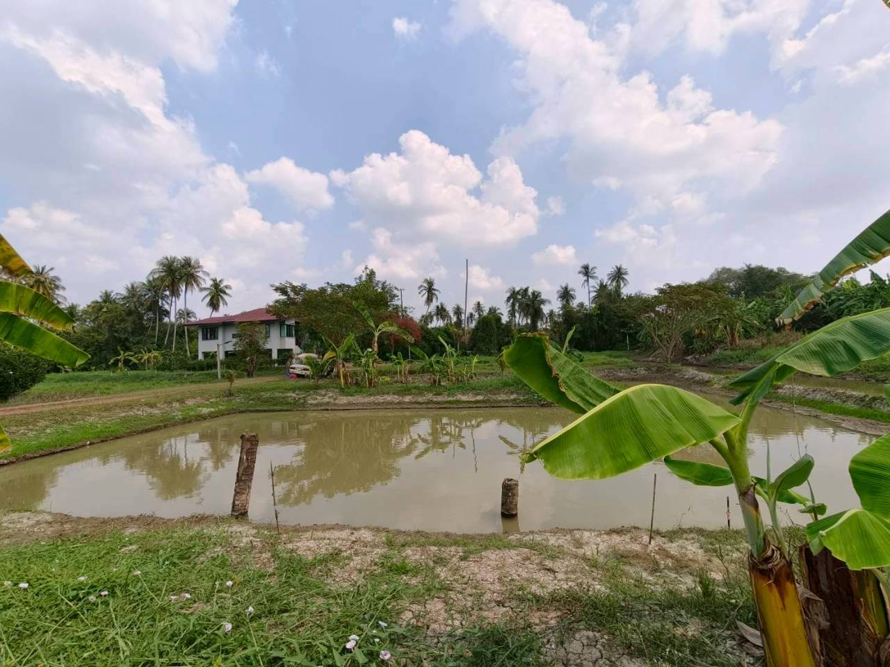 ขายที่ดินพร้อมสิ่งปลูกสร้าง ทำเลทอง ใกล้ถนนพุทธมณฑลสาย 7 และถนนบรมราชชนนี อำเภอสามพราน จังหวัดนครปฐม