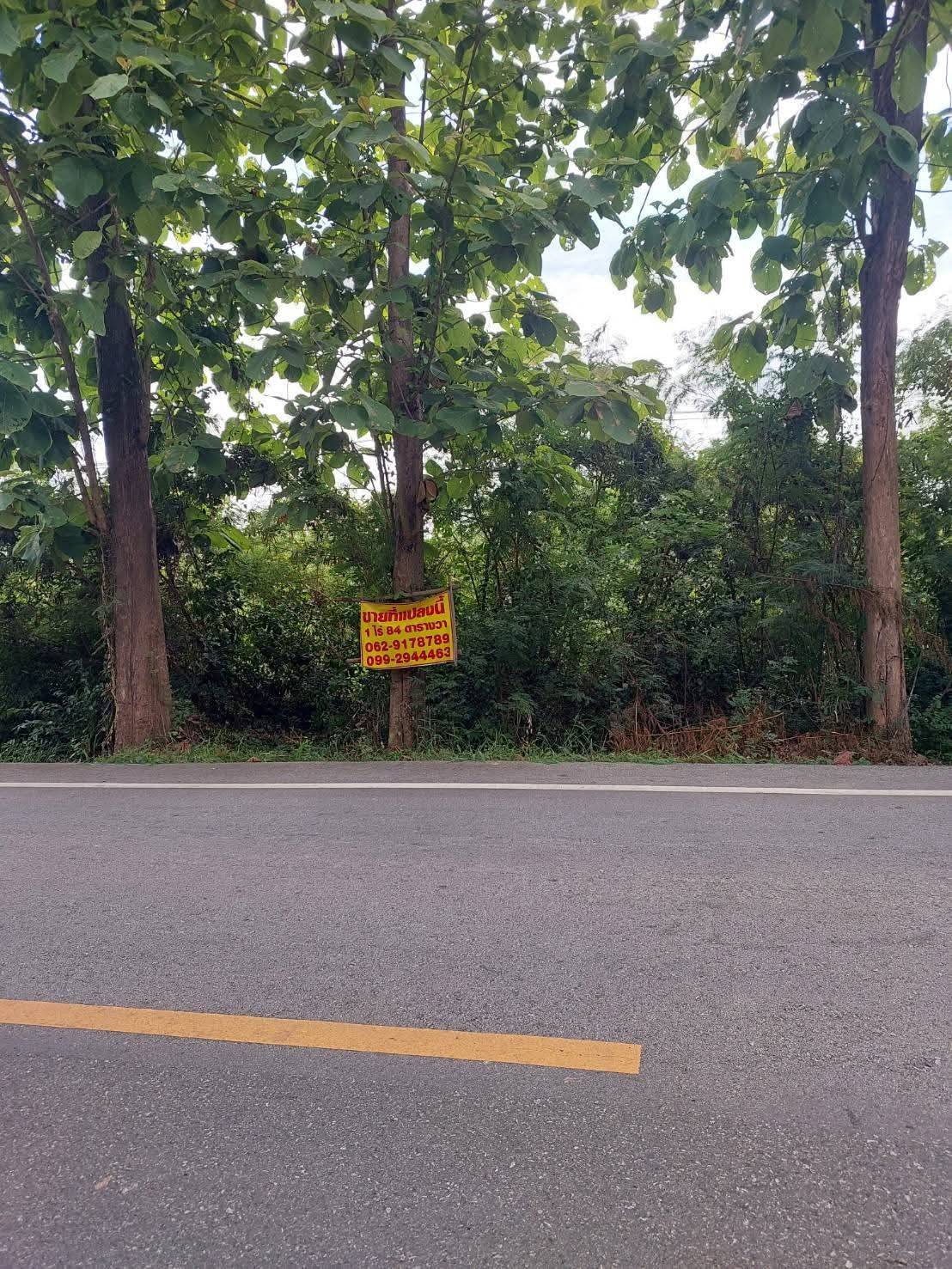 ขายที่ดินเปล่า ทำเลดี กำแพงดิน​ อ.สามง่าม​ จ.พิจิตร