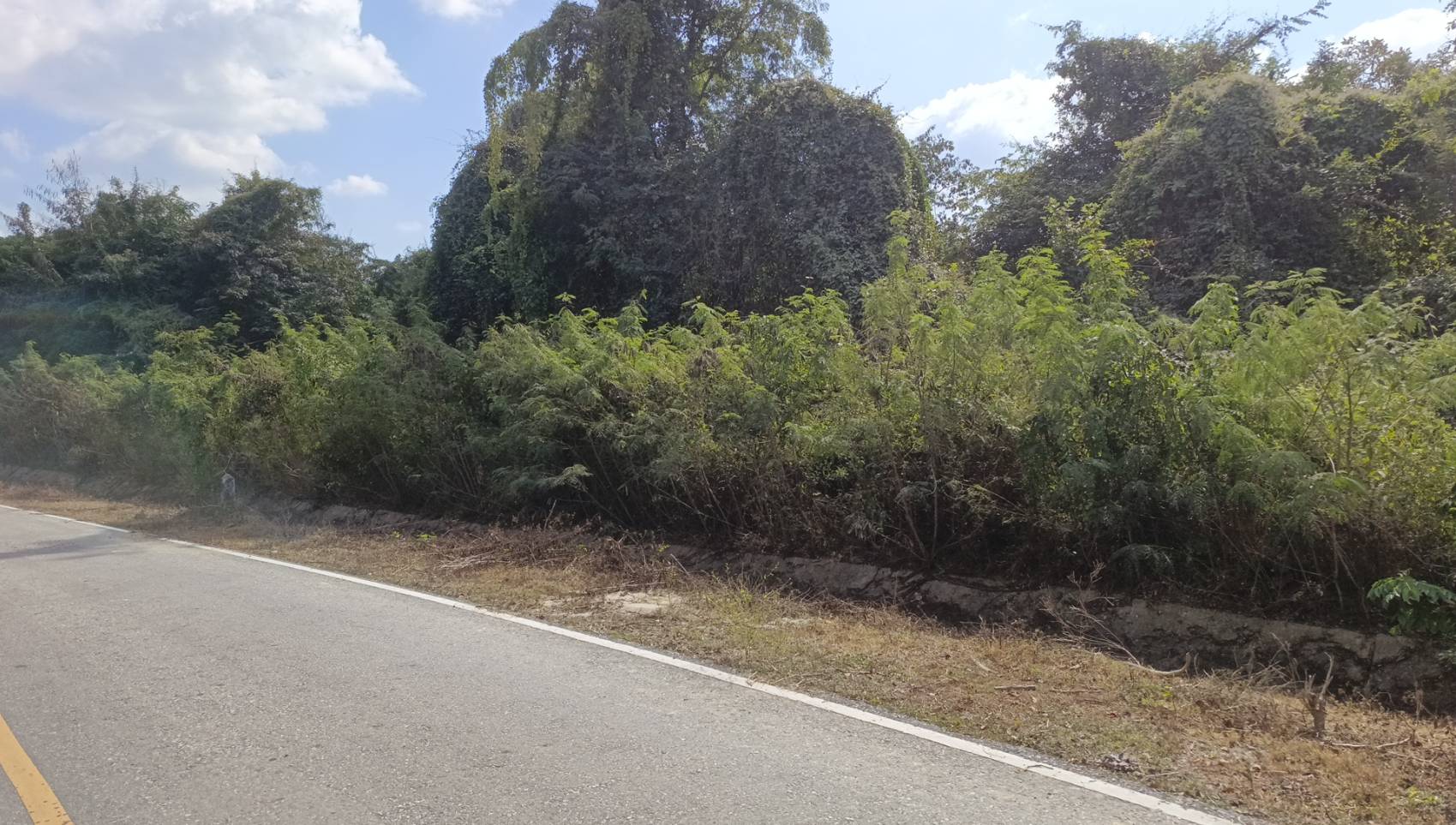 ที่ดินทำเลดี ราคาต่ำกว่าประเมิน