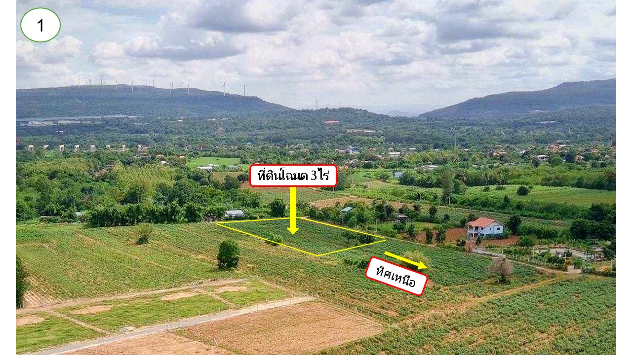 ขาย Ozone บริสุทธิ์ ที่ดินคลองไผ่.วิวเขา  3 ไร่.  3.9 ลบ. ( 3,250 บ./ วา )