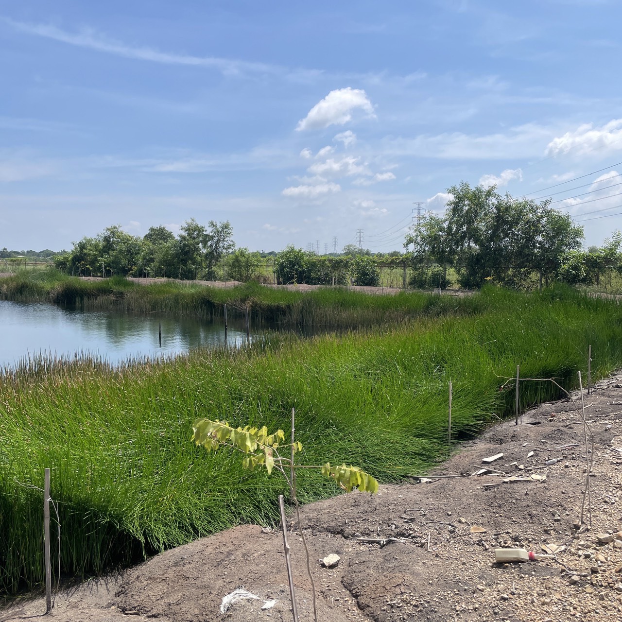 ขายที่ดินเปล่า 4 ไร่ ถมแล้ว ล้อมรั้ว มีบ่อน้ำ ราคาดี ทำเลกำลังโต