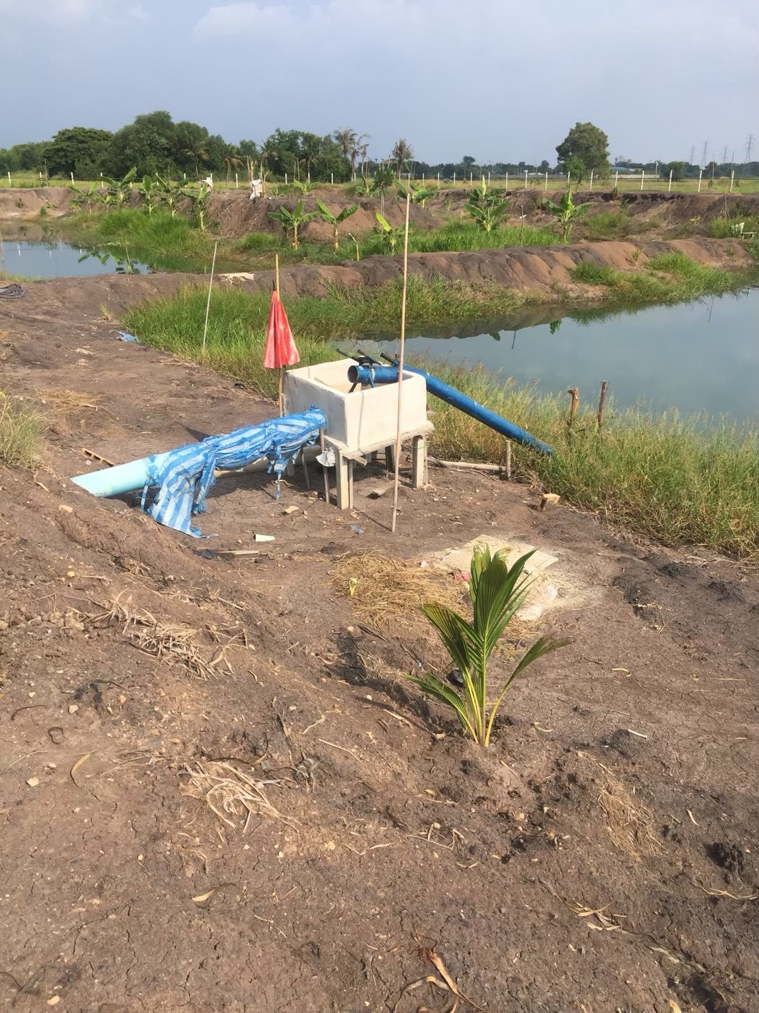 ขายที่ดินเปล่า 4 ไร่ ถมแล้ว ล้อมรั้ว มีบ่อน้ำ ราคาดี ทำเลกำลังโต