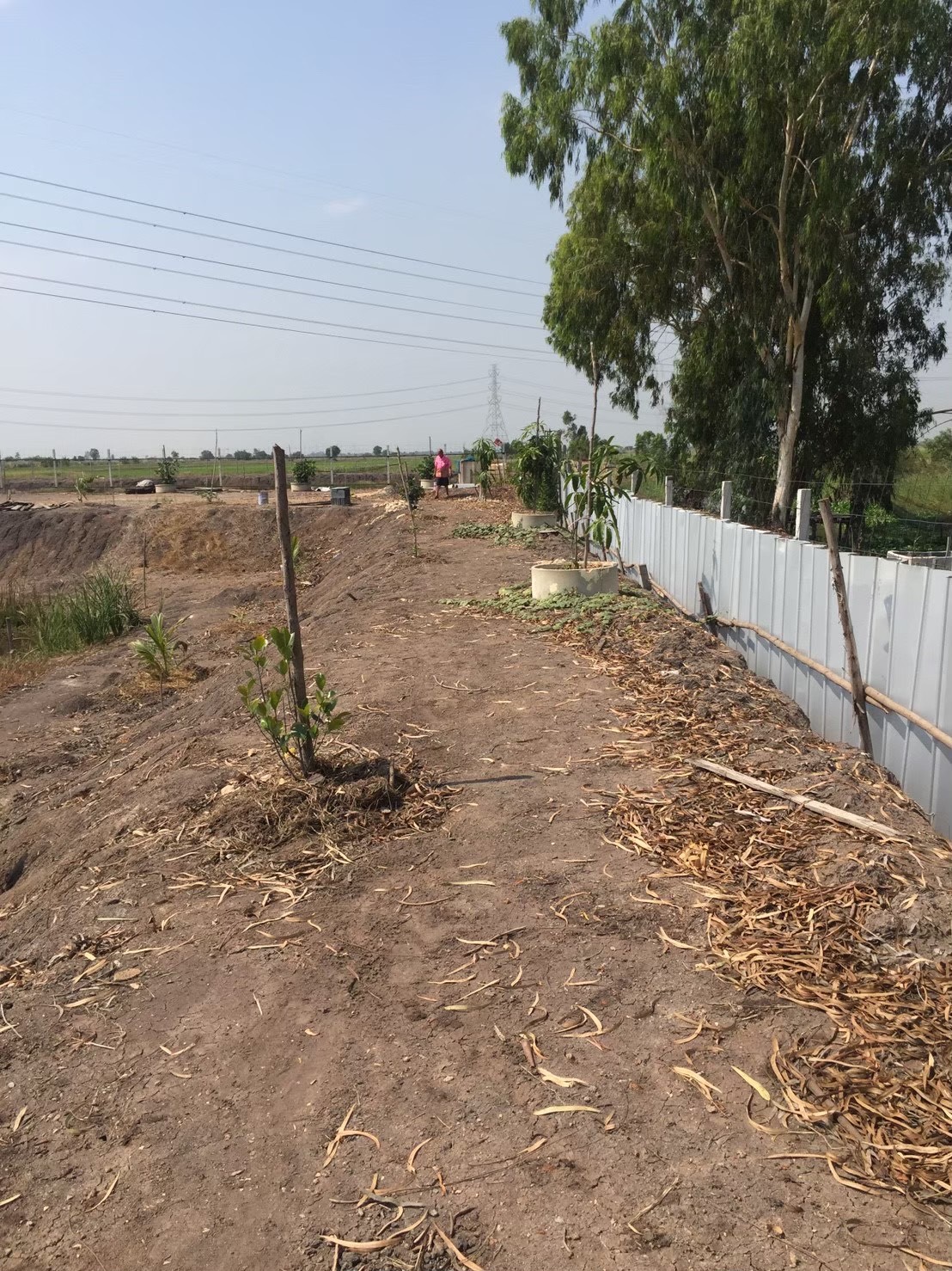 ขายที่ดินเปล่า 4 ไร่ ถมแล้ว ล้อมรั้ว มีบ่อน้ำ ราคาดี ทำเลกำลังโต