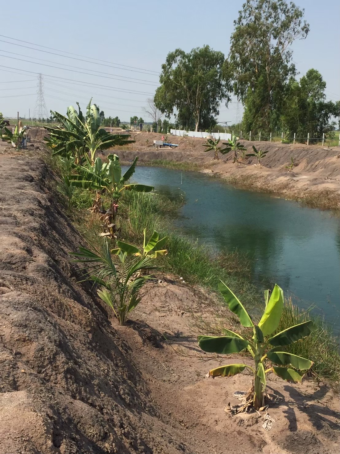 ขายที่ดินเปล่า 4 ไร่ ถมแล้ว ล้อมรั้ว มีบ่อน้ำ ราคาดี ทำเลกำลังโต