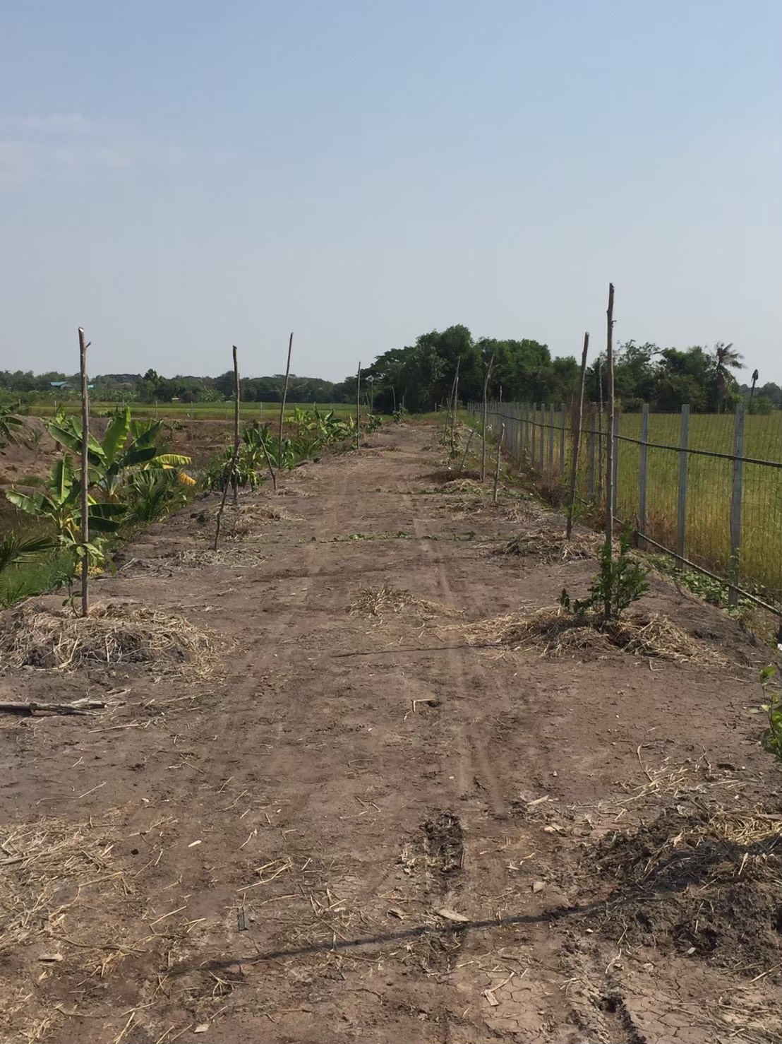 ขายที่ดินเปล่า 4 ไร่ ถมแล้ว ล้อมรั้ว มีบ่อน้ำ ราคาดี ทำเลกำลังโต