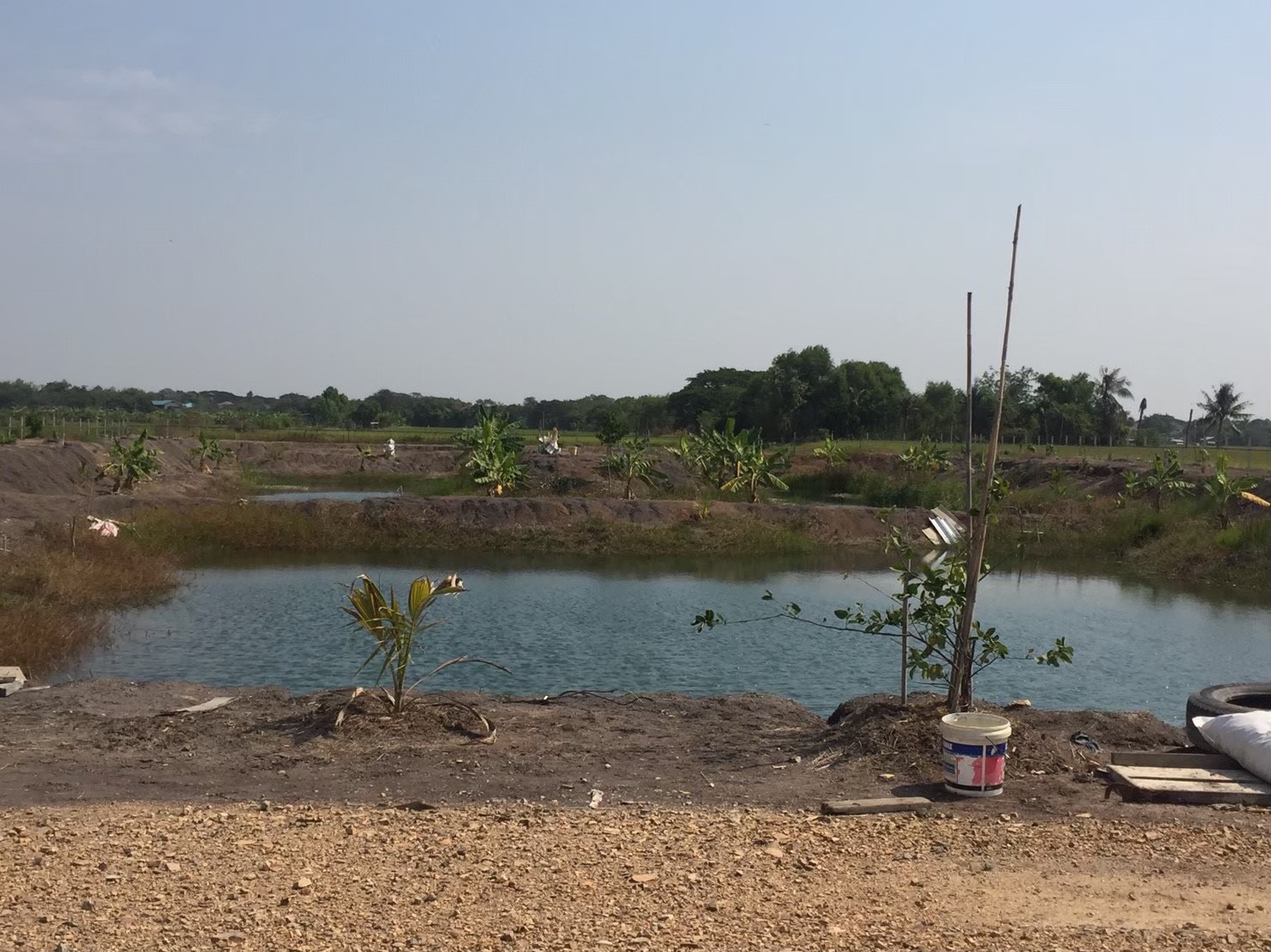 ขายที่ดินเปล่า 4 ไร่ ถมแล้ว ล้อมรั้ว มีบ่อน้ำ ราคาดี ทำเลกำลังโต